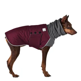 Doberman Pinscher Winter Coat