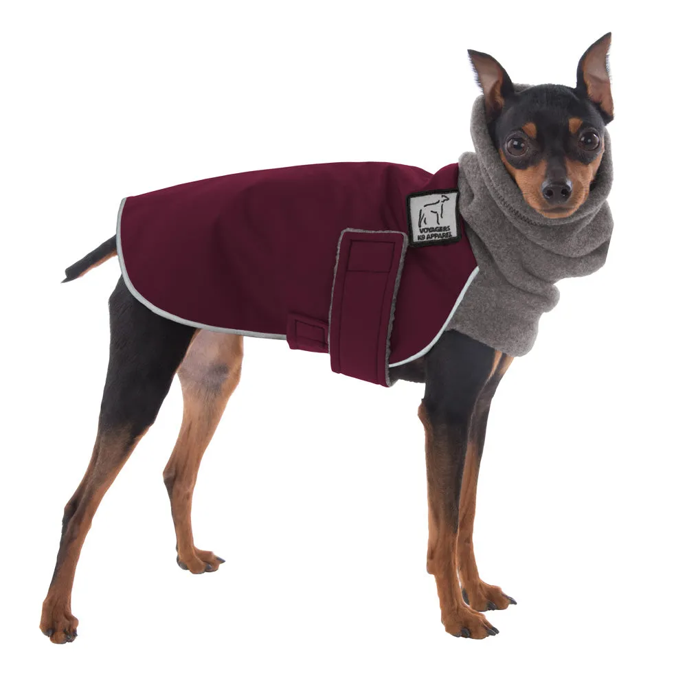 Miniature Pinscher Winter Coat