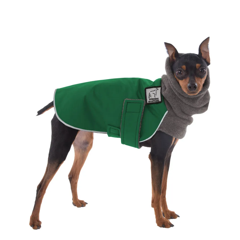 Miniature Pinscher Winter Coat