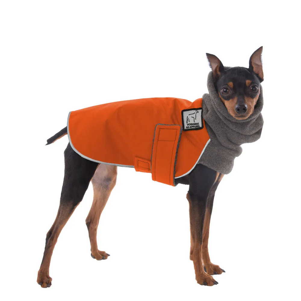 Miniature Pinscher Winter Coat